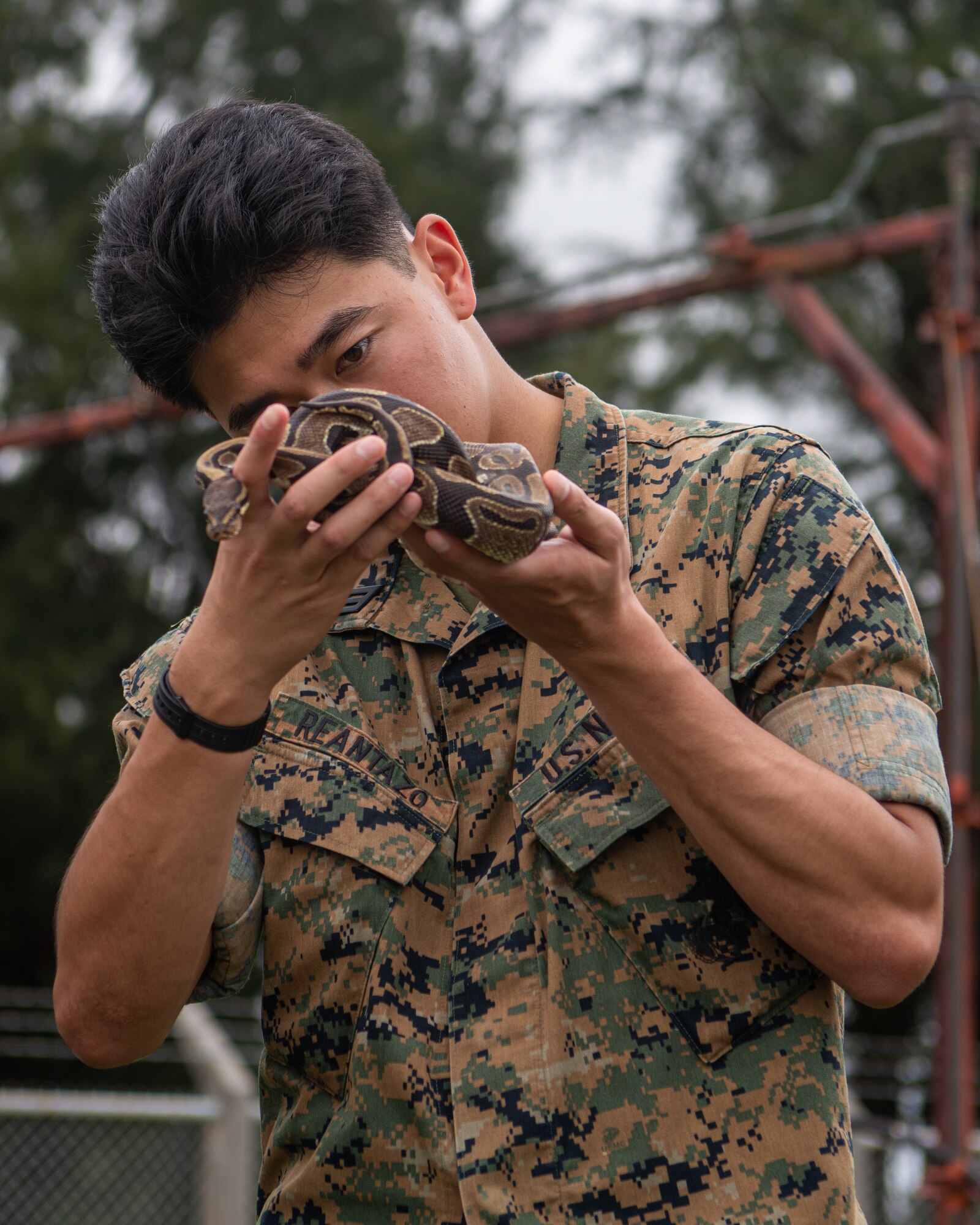 A Sailor handles a snake.