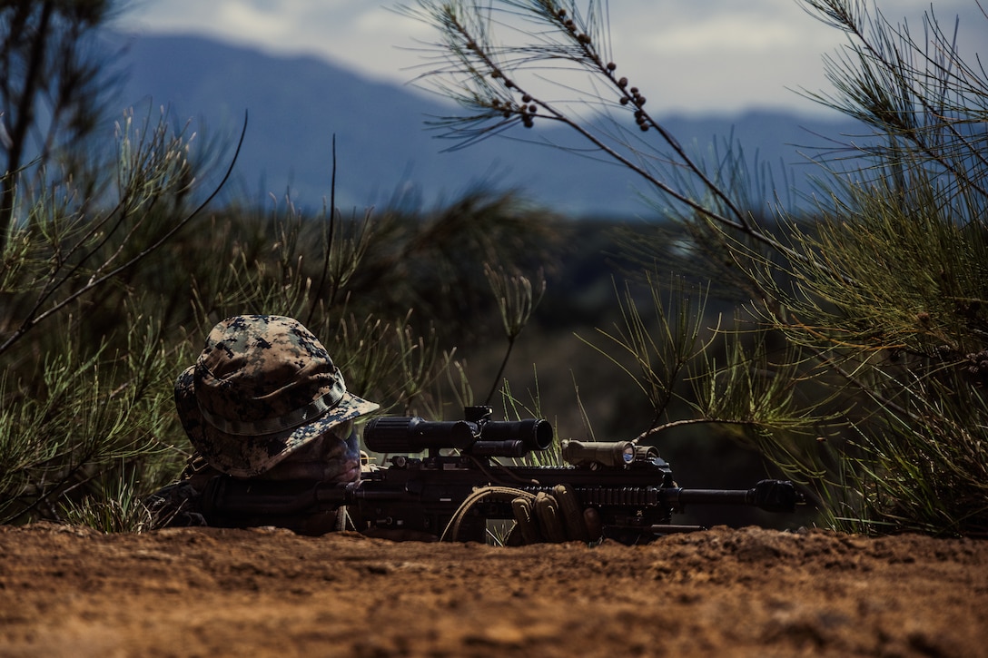 U.S. Marine Corps Lance Cpl. Xavier Figueroaacevedo, an infantry Marine with 3d Littoral Combat Team, 3d Marine Littoral Regiment, 3d Marine Division, posts security with an M27 Infantry Automatic Rifle during a patrol at Kahuku Training Area, Hawaii, June 9, 2023. 3d LCT conducted a nine-day field exercise to improve core competencies, discipline and continuing actions across the battalion. (U.S. Marine Corps photo by Cpl. Grace Gerlach)