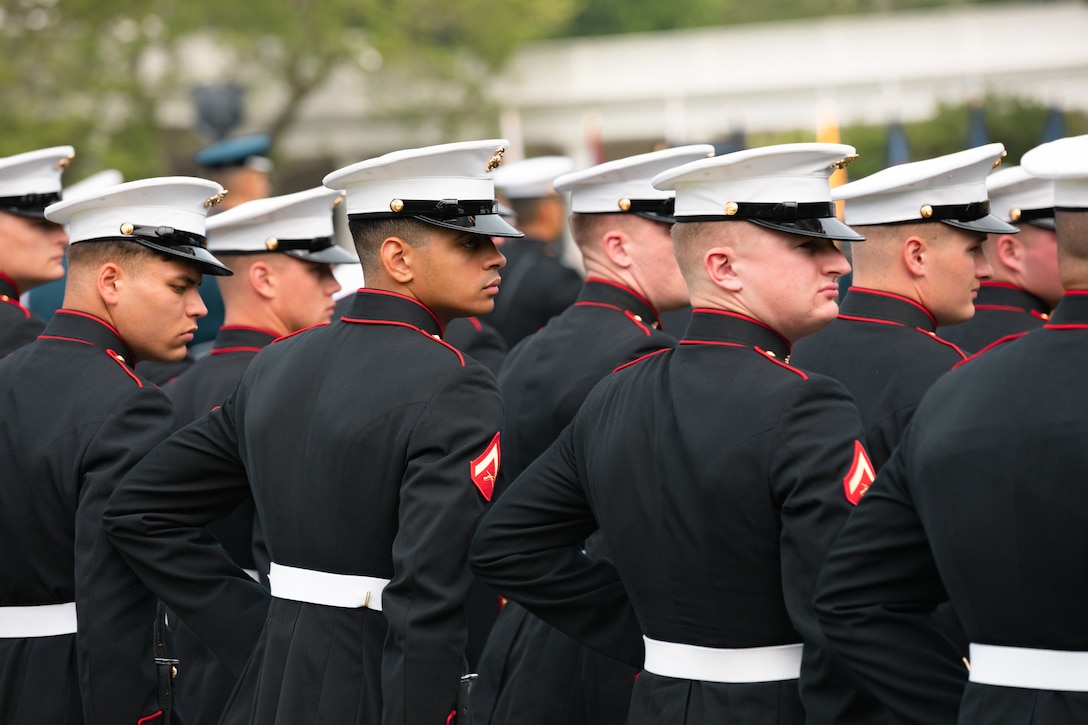 Marines from Marine Barracks Washington dress their formation on the South Lawn of the White House on June 20, 2023 during a rehearsal for the State Arrival of Indian Prime Minister Modi.