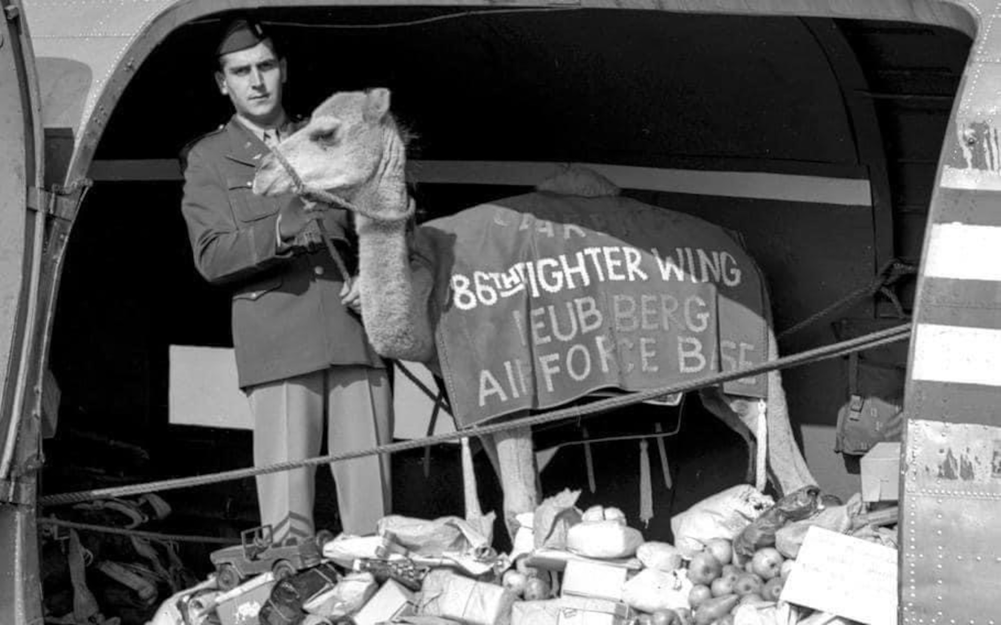 man with camel on a plane