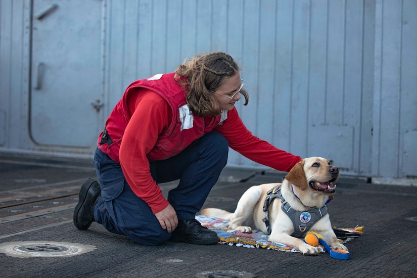 A dog lies on a quilt on a ship's deck while a kneeling sailor pets her.