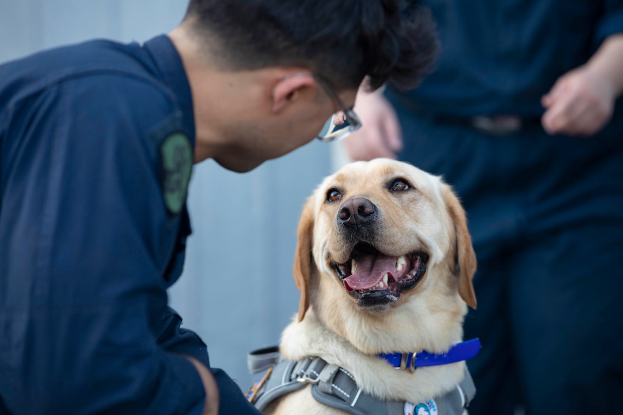 A dog with an open, relaxed mouth gazes up a sailor looking at her.