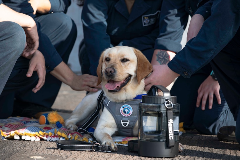 A dog lies on a ship's deck while sailors pet her.