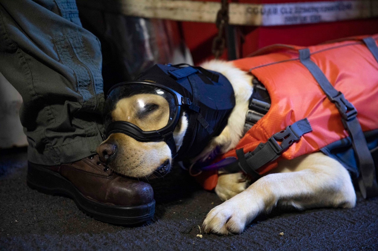 A dog wearing goggles and a vest sleeps with her head on a sailor's shoe.
