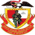 Advanced Infantry Battalion Unit Logo