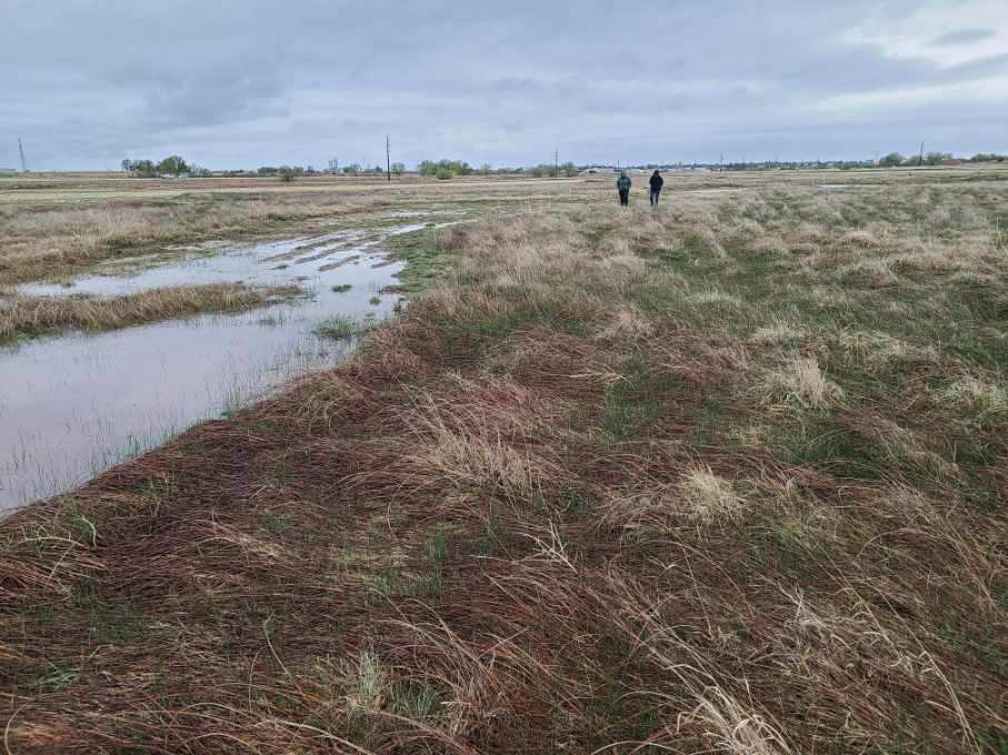 Colorado Mitigation Procedures, Stream Quantification Tool, mitigation ...