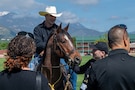 Group of people interact with color guard horse.