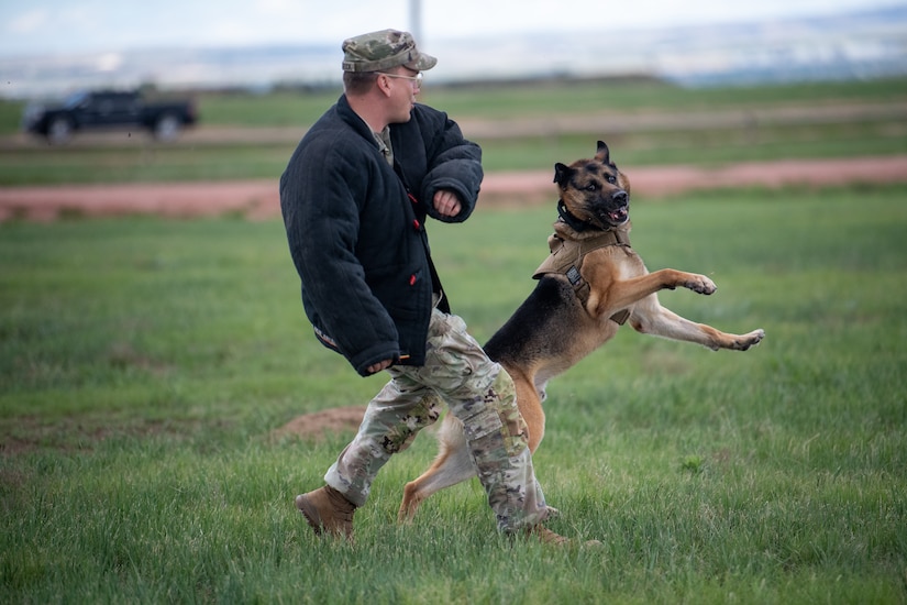 Military working dog and military police officer complete K-9 demonstration.