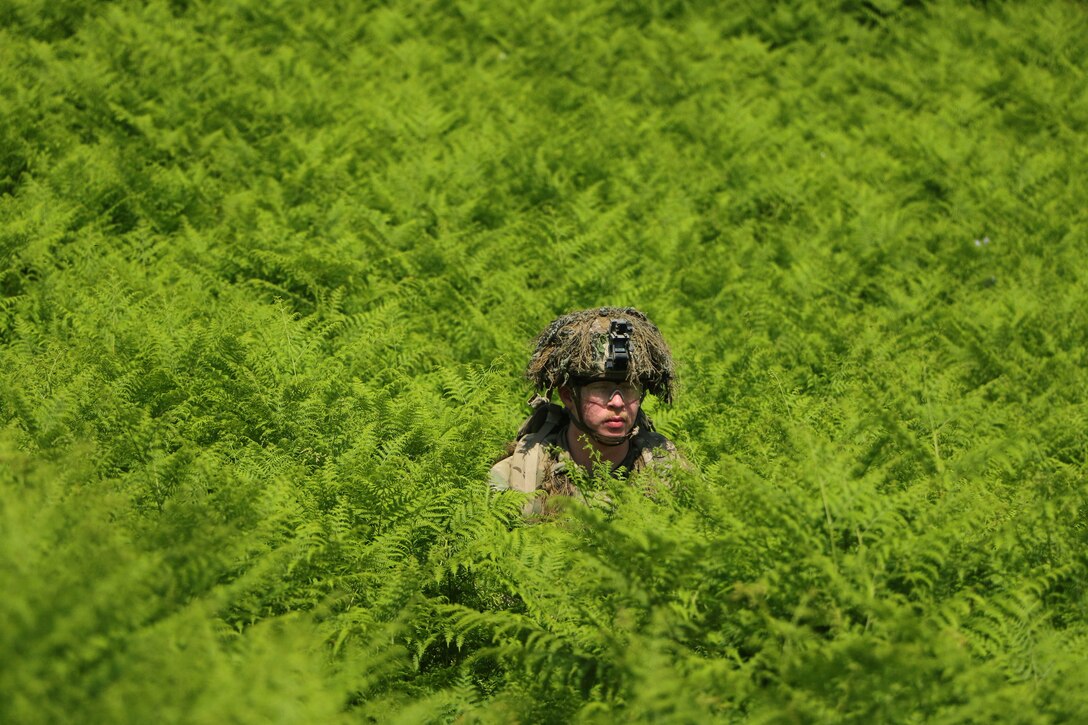 A soldier’s head is shown emerging from a field of ferns.