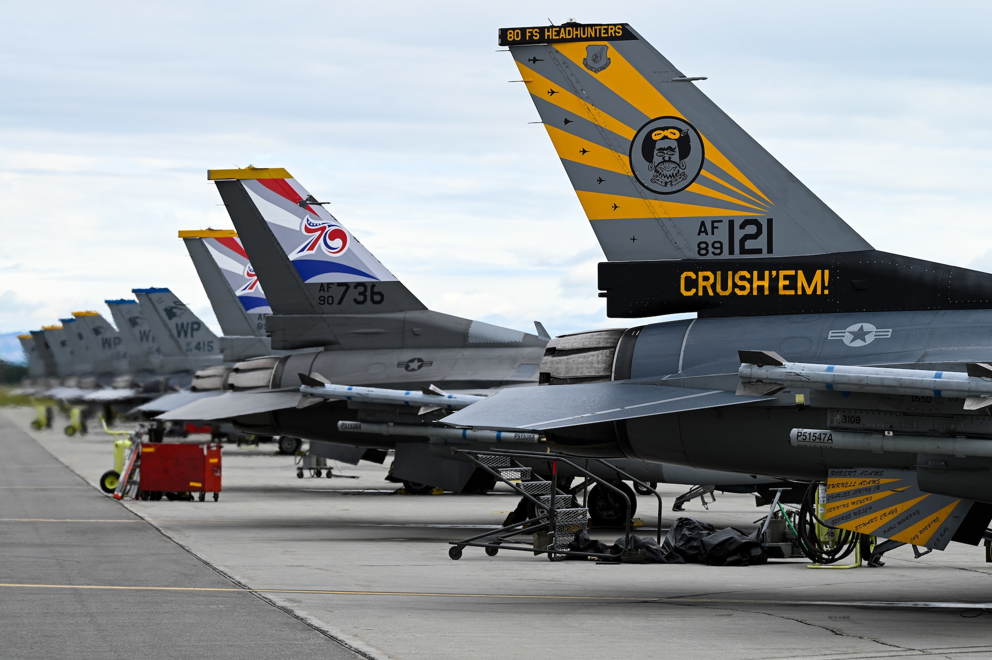 Multiple F-16 Fighting Falcons are lined up on a runway and the image captures their tail displays