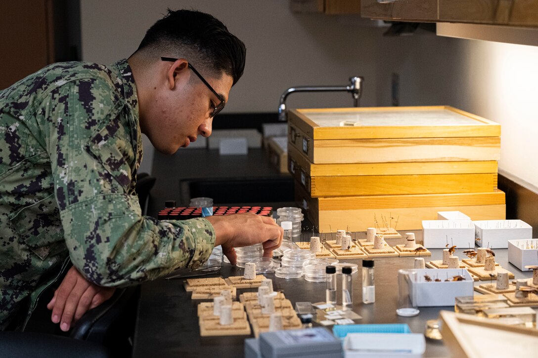 Army and Navy students in the Medical Education and Training Campus Preventive Medicine program examine insects and learn about their relationship to humans, the environment, and other organisms in the entomology laboratory. As part of their training, students are prepared to perform various entomological functions in support of insect and rodent control programs. Graduates are certified in DoD Pesticide Application through the Armed Forces Pest Management Board.