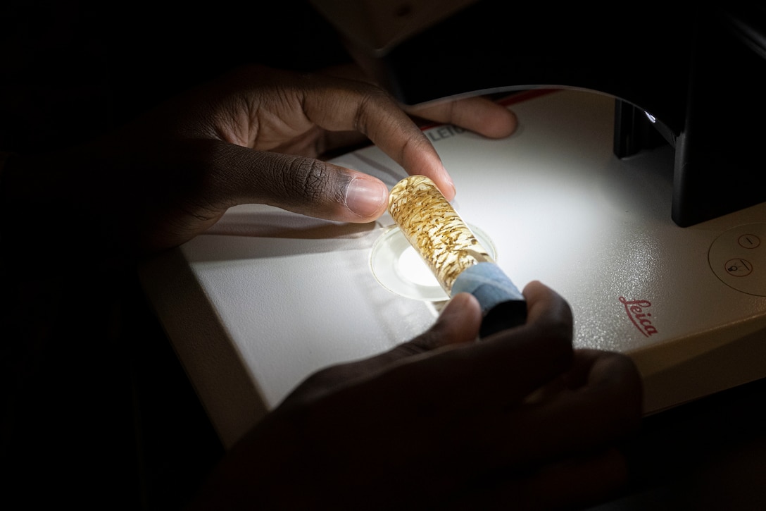 Army and Navy students in the Medical Education and Training Campus Preventive Medicine program examine insects and learn about their relationship to humans, the environment, and other organisms in the entomology laboratory. As part of their training, students are prepared to perform various entomological functions in support of insect and rodent control programs. Graduates are certified in DoD Pesticide Application through the Armed Forces Pest Management Board.