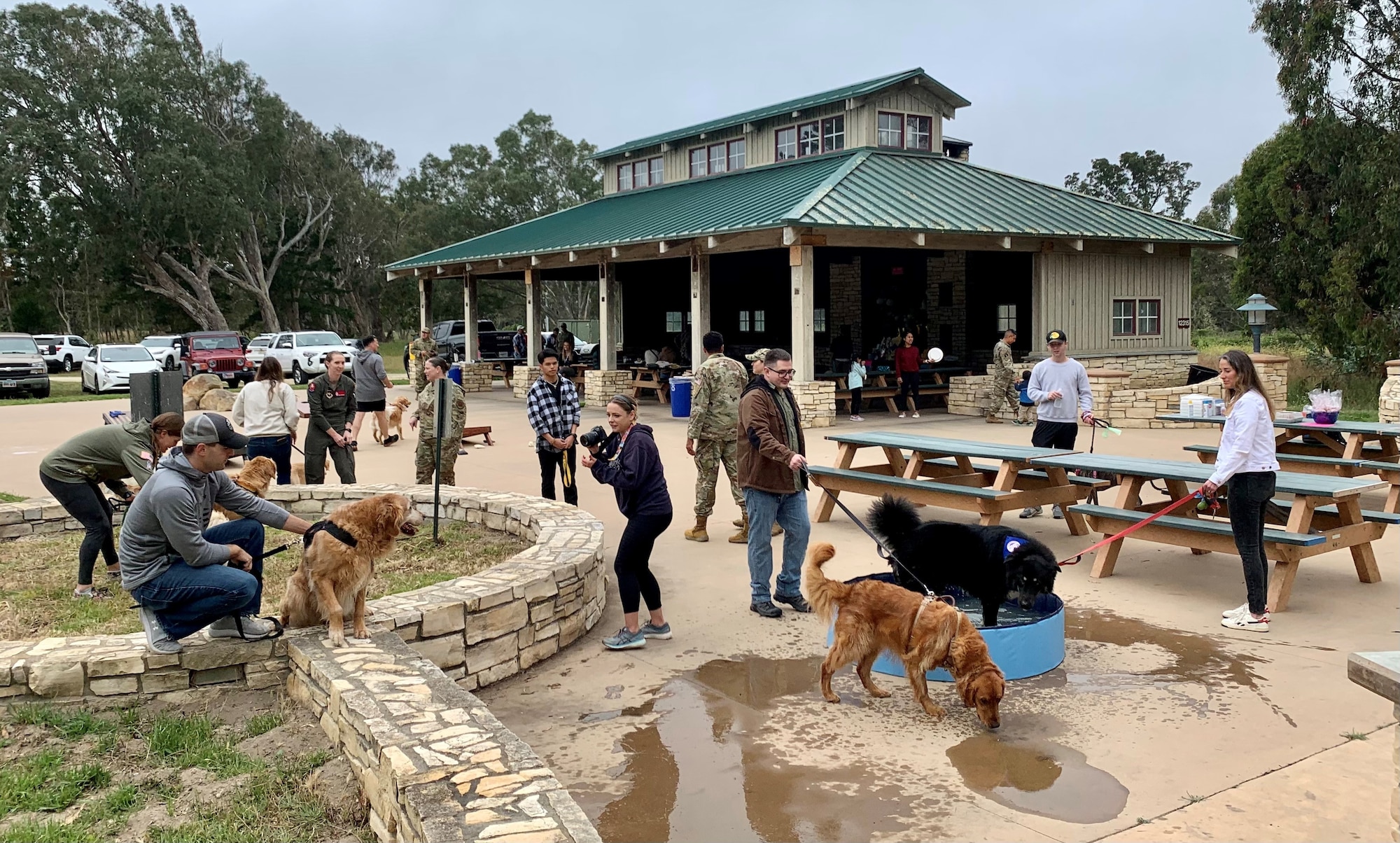 A photo is taken of dogs and their owners.