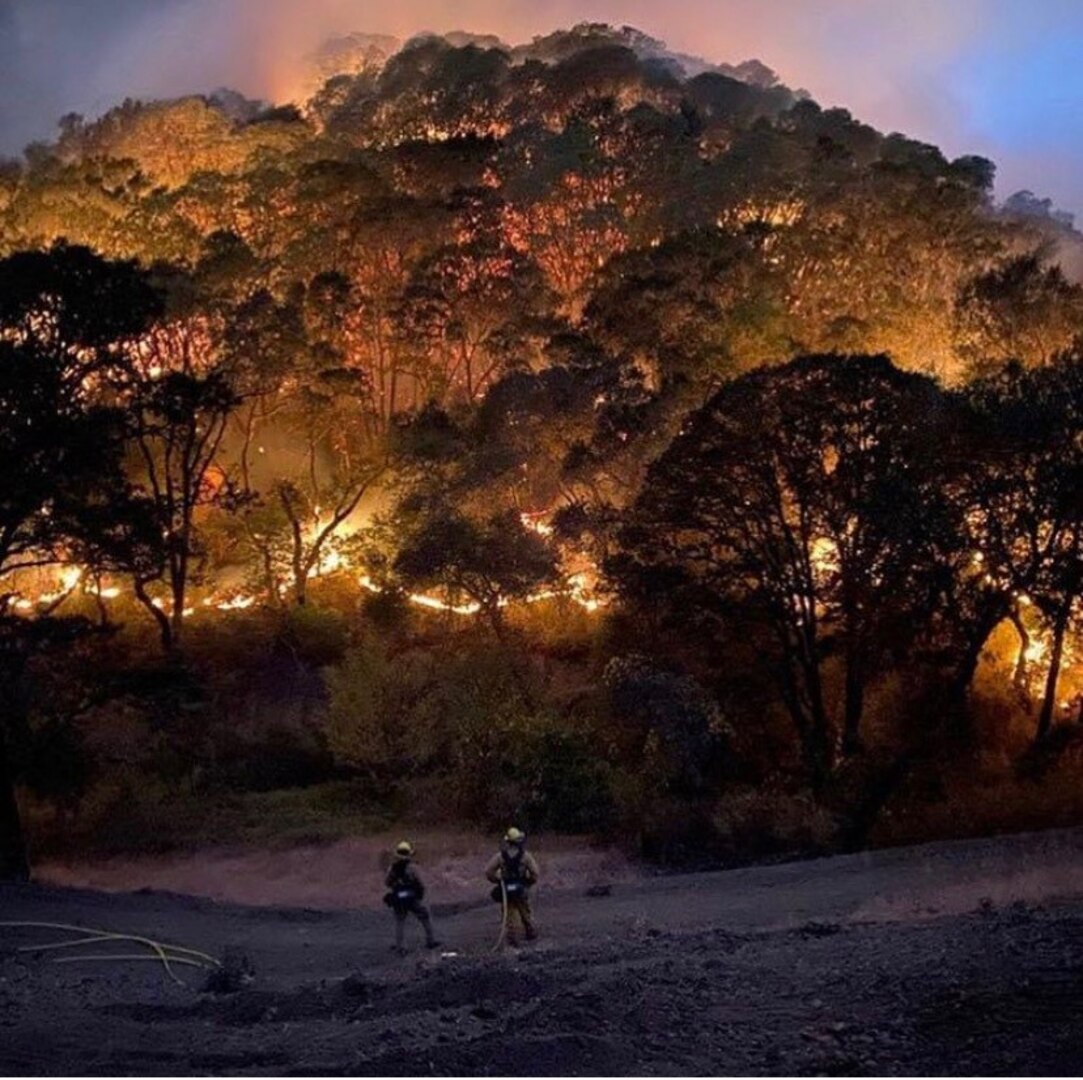 Two fire fighters stand near a forest fire
