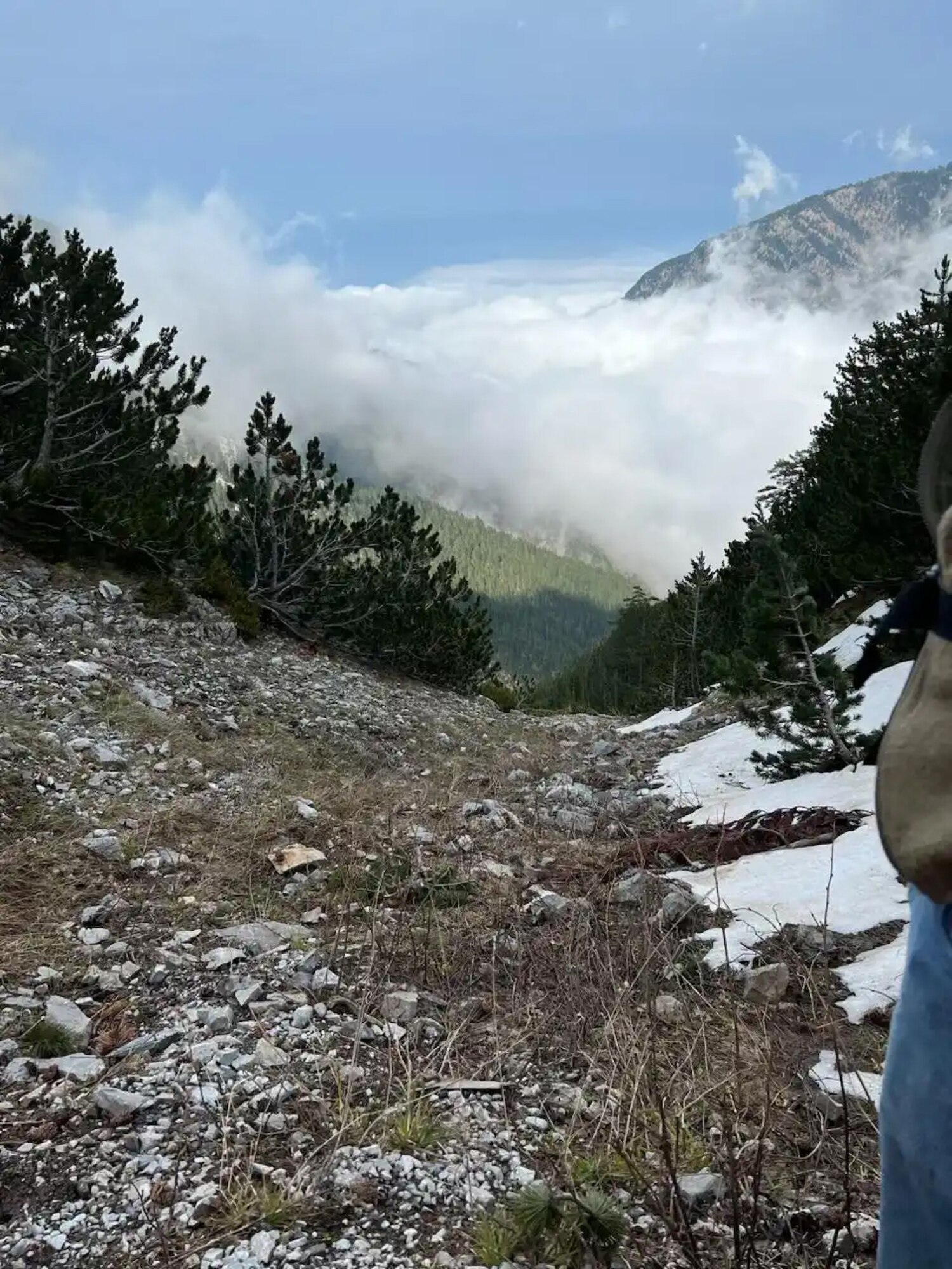 A view down Mt. Olympus, showing rocky scree, trees, and partial snow cover, shot from above low-lying clouds.