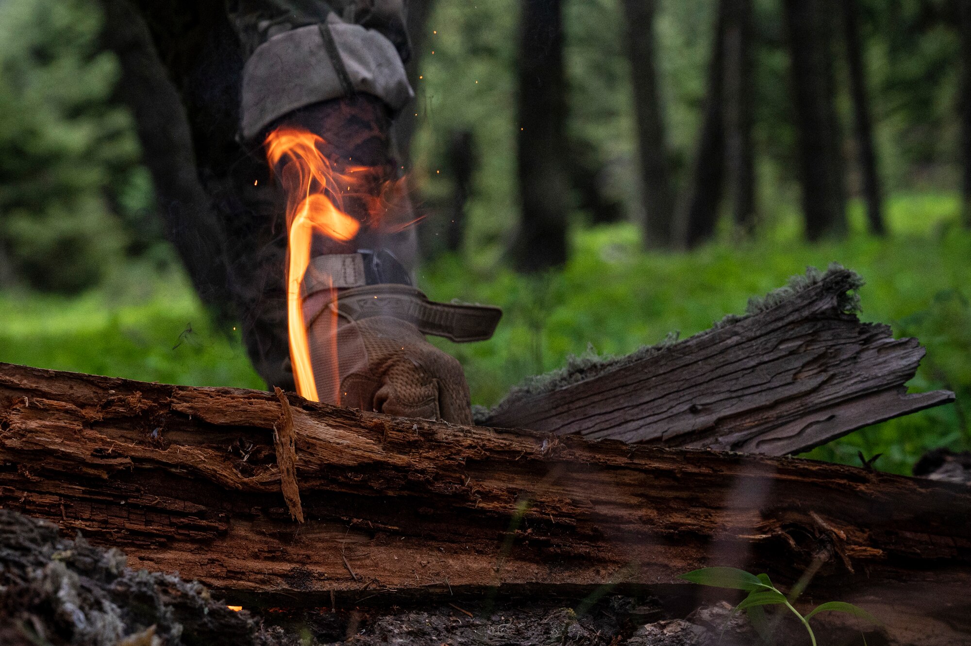 Malmstrom Airmen conduct survival training