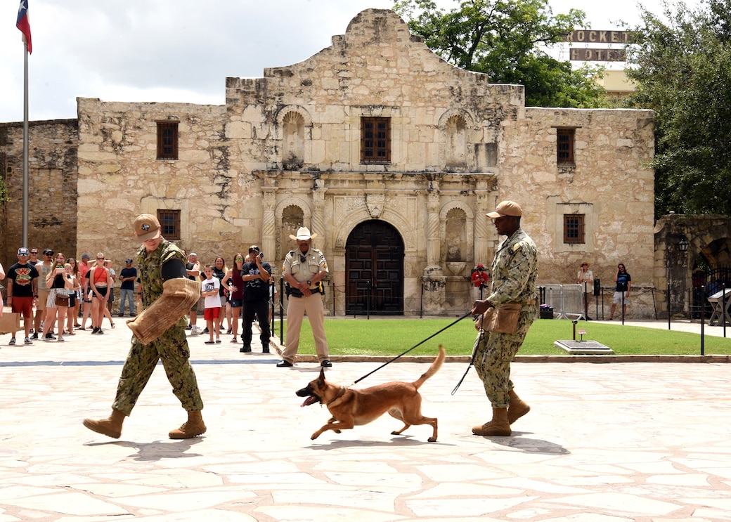 Master-at-Arms 1st Class Justin Shields, of San Antonio, a K9 handler assigned to Naval Technical Training Center (NTTC) Lackland with his K9, Cincinnati, escorts Master-at-Arms 2nd Class Matthew Hollingsworth, of Lorain, Ohio, during a military working dog (MWD) demonstration at Navy Day at the Alamo during Fiesta San Antonio.  Other activities conducted during Navy Day were future Sailors’ oath of enlistment, Naval Reserve Officer Training Corps Scholarship presentations by Navy Talent Acquisition Group (NTAG) San Antonio, funeral honors by Navy Operational Support Center (NOSC) San Antonio, demonstrations from Master-at-Arms Sailors from NTTC Lackland, along with a color guard provided by Navy Information Operations Command (NIOC) Texas. The keynote speaker was Cmdr. Nicholas Gamiz, NTTC commanding officer. NTAG San Antonio’s area of responsibility includes two Talent Acquisition Onboarding Centers (TAOC) which manage more than 34 Navy Recruiting Stations and Navy Officer Recruiting Stations spread throughout 144,000 square miles of Central and South Texas territory