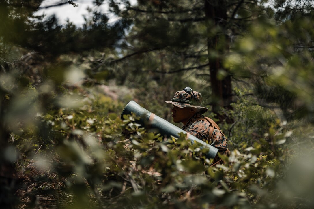 U.S. Marine Corps Lance Cpl. Javier Gonzalez, field radio operator with 4th Reconnaissance Battalion, 4th Marine Division, posts security during Mountain Exercise (MTX) 4-23 at Marine Corps Mountain Warfare Training Center, Bridgeport, California, June 11, 2023. MTX is designed to enhance maneuver capabilities, the conduct of expeditionary advanced base operations and logistical supply and support operations in an austere environment in accordance with Force Design 2030. (U.S. Marine Corps photo by Lance Cpl. Richard PerezGarcia)