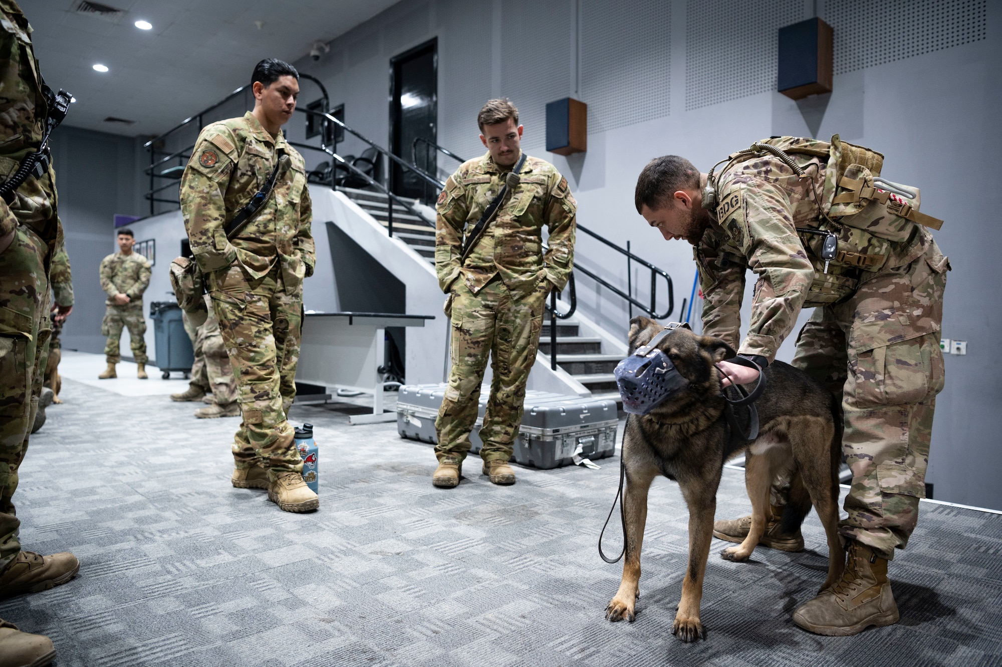 U.S. Air Force Staff Sgt. Jibran Martin, a 386th Expeditionary Security Forces Squadron Military Working Dog handler, demonstrates how to put a muzzle on MWD Mark during a MWD emergency medical training at Ali Al Salem Air Base, Kuwait, Feb. 28, 2023.