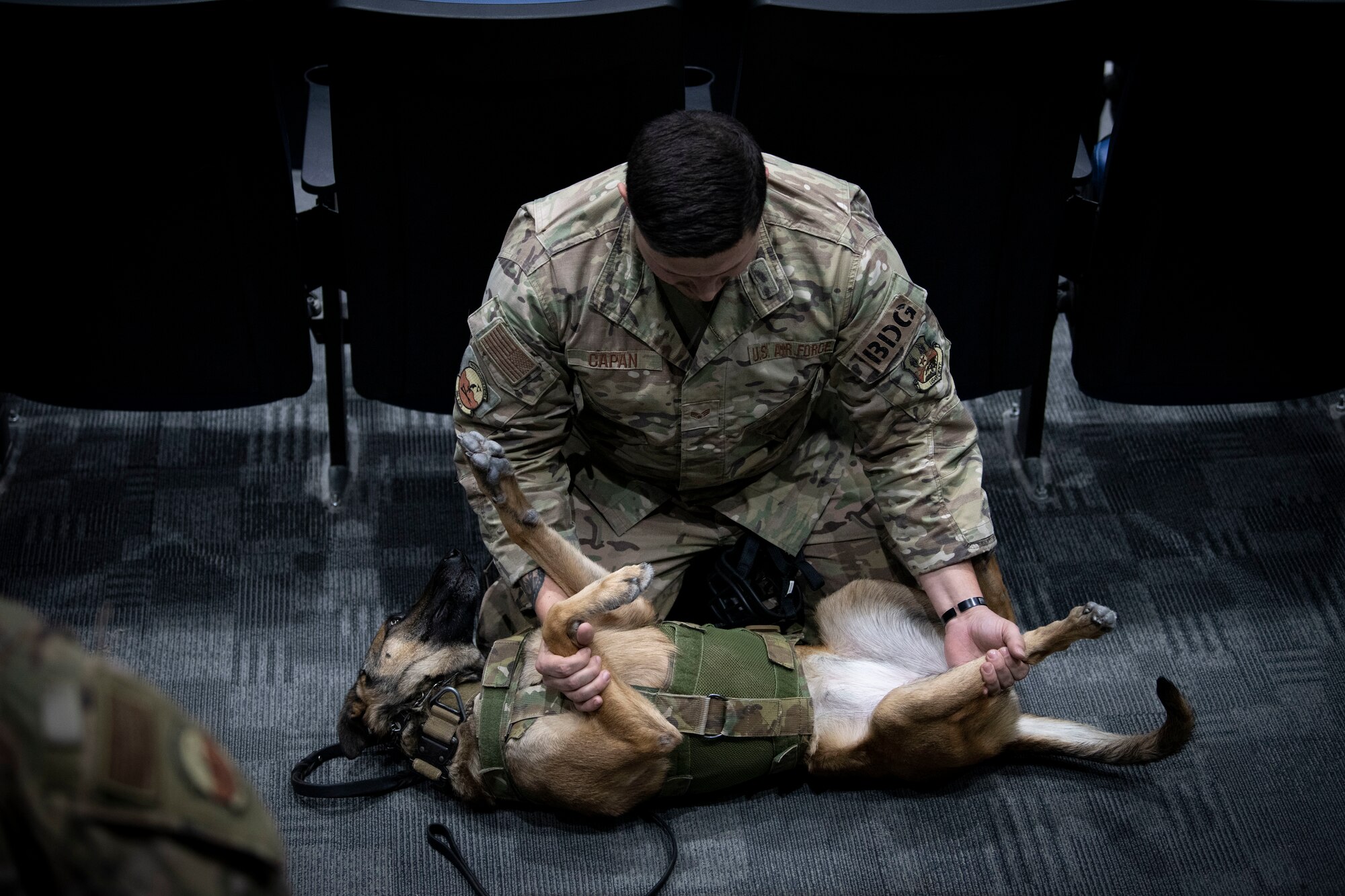 U.S. Air Force Senior Airman Sean Capan, a 386th Expeditionary Security Forces Squadron Military Working Dog handler, demonstrates how to put a MWD on their back if needed during a MWD emergency medical training at Ali Al Salem Air Base, Kuwait, Feb. 28, 2023.