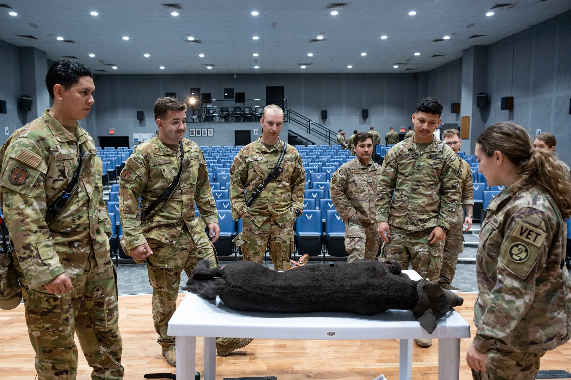 First responders assess the injuries on H032, a training K9, during a MWD emergency medical training at Ali Al Salem Air Base, Kuwait, Feb. 28, 2023.