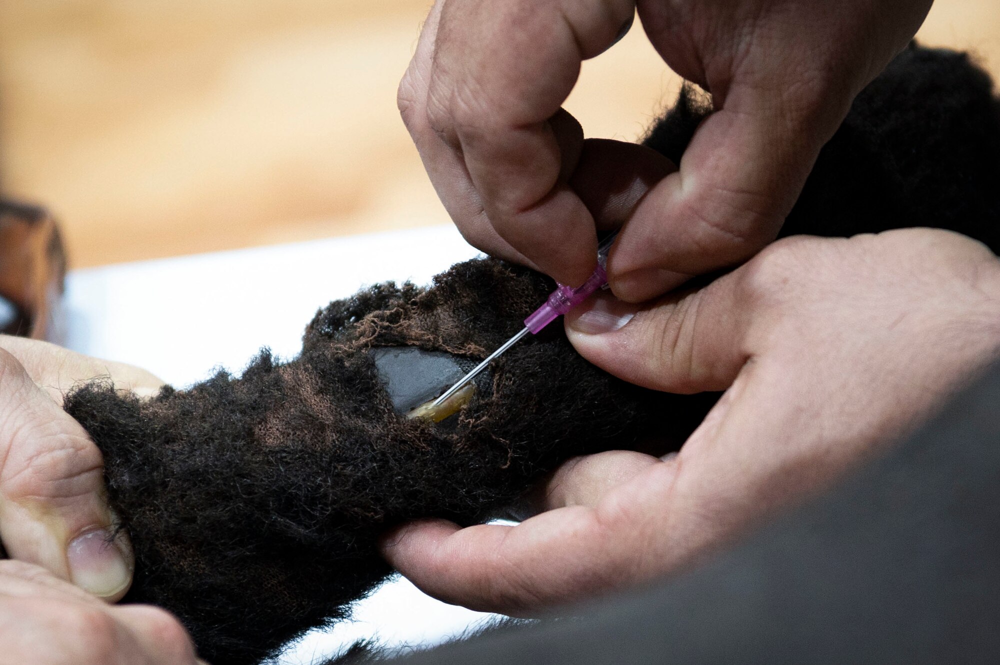 A catheter is inserted into H032, a training K9, during a Military Working Dog emergency medical training at Ali Al Salem Air Base, Kuwait, Feb. 28, 2023.