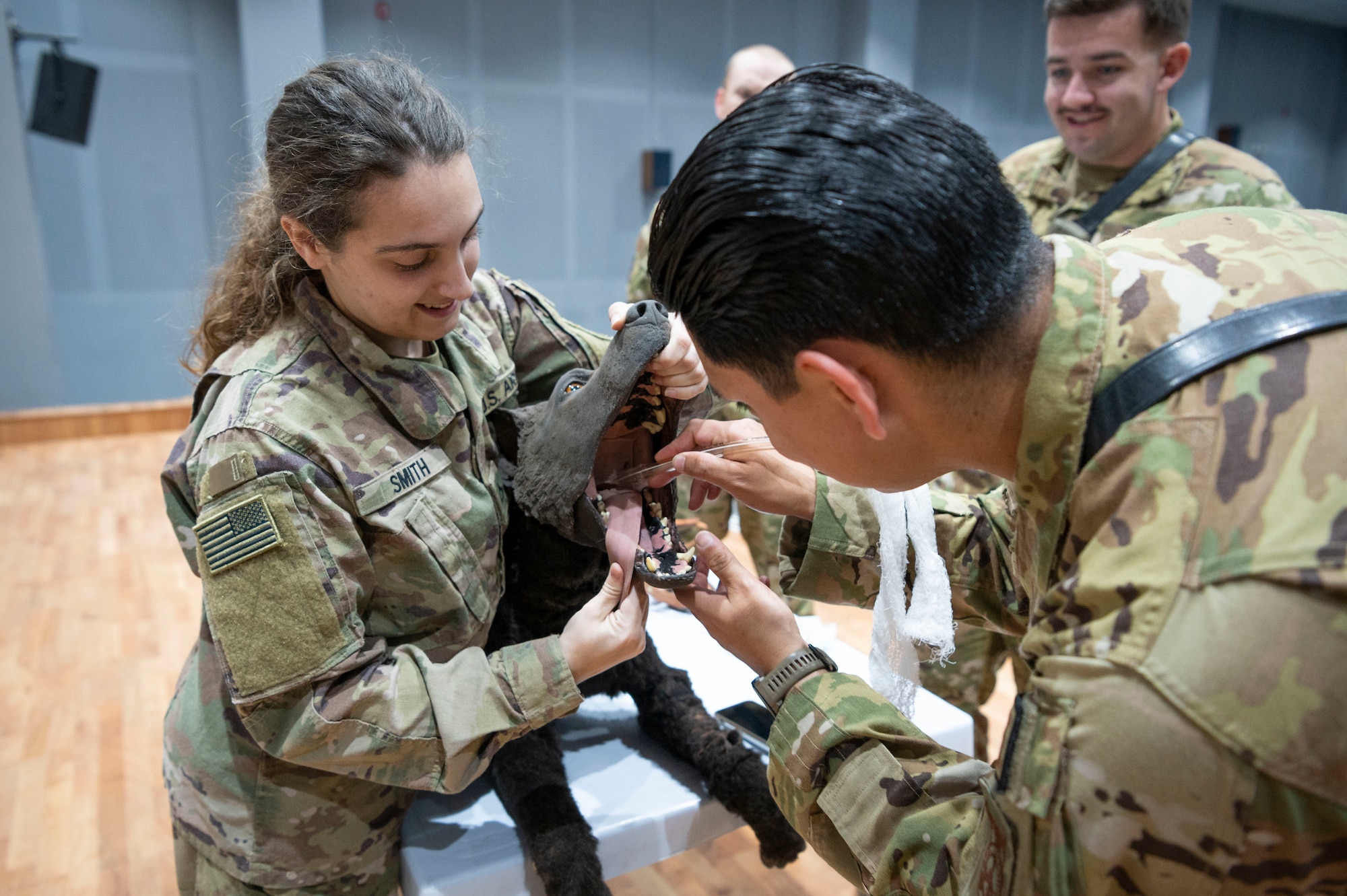 U.S. Army Pfc. Taryn Smith, a 109th Medical Detachment Veterinary Services animal care specialist, left, opens a training K9’s mouth while U.S. Army Sgt. Cesar Delacruz, a 386th Expeditionary Security Forces Squadron Military Working Dog coordinator, inserts a tracheal tube during a MWD emergency medical training at Ali Al Salem Air Base, Kuwait, Feb. 28, 2023.