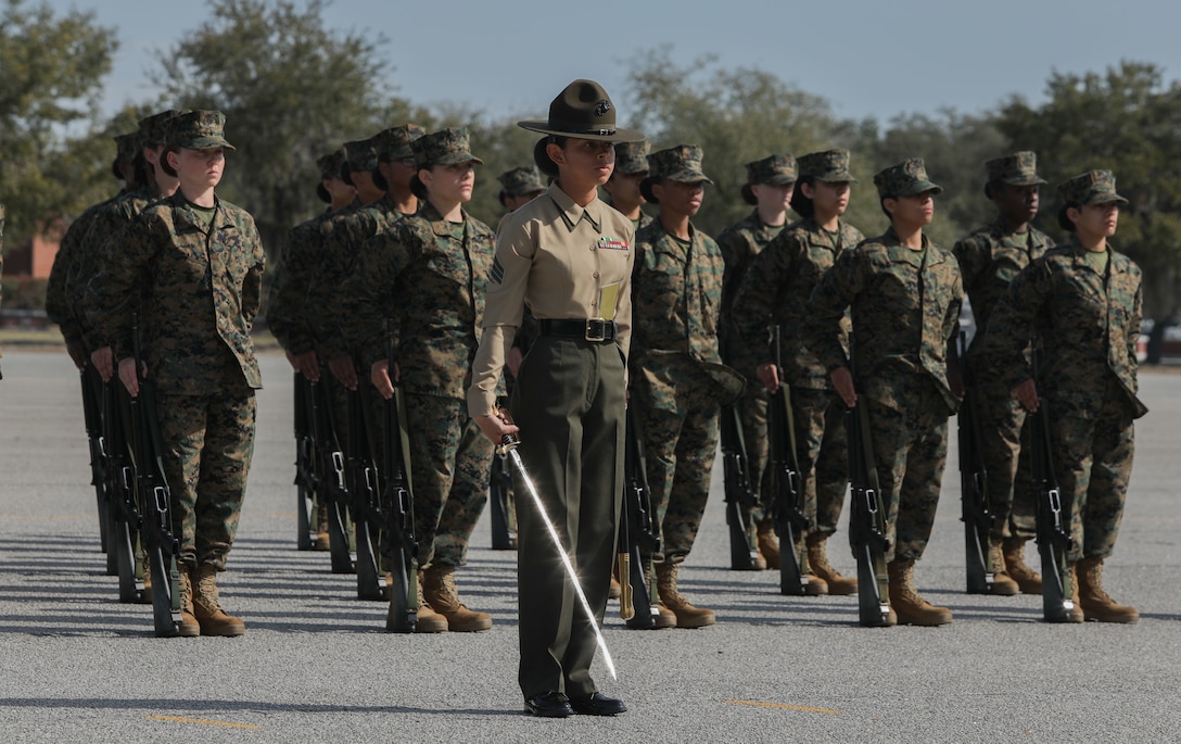 Recruits from Hotel Company, 2nd Recruit Training Battalion, participate in the initial drill inspection on Marine Corps Recruit Depot Parris Island, S.C., Feb. 20, 2023.

Initial Drill is the first marker of the recruits' discipline and unit cohesion. (U.S. Marine Corps photo by Lance Cpl. Brenna Ritchie)