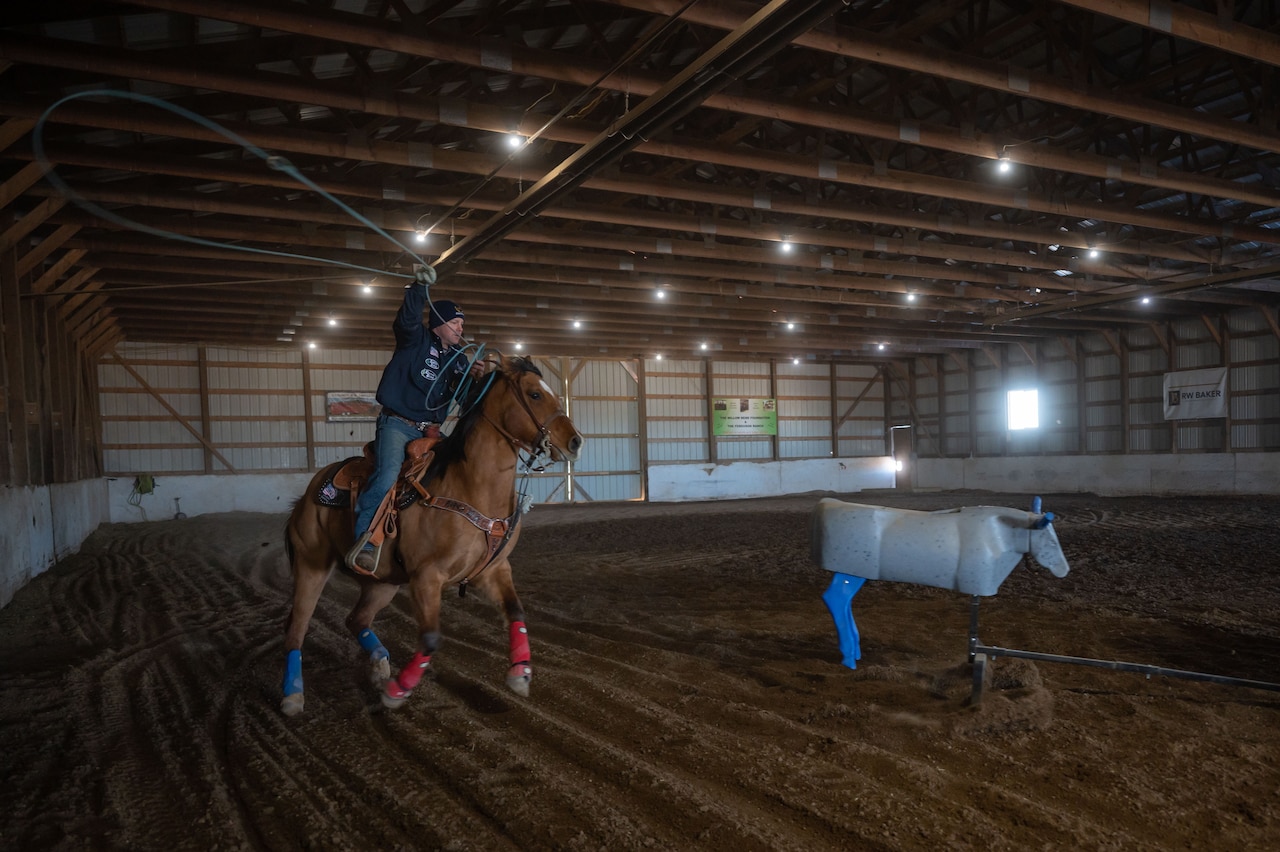 A person on a horse practices roping a steer.