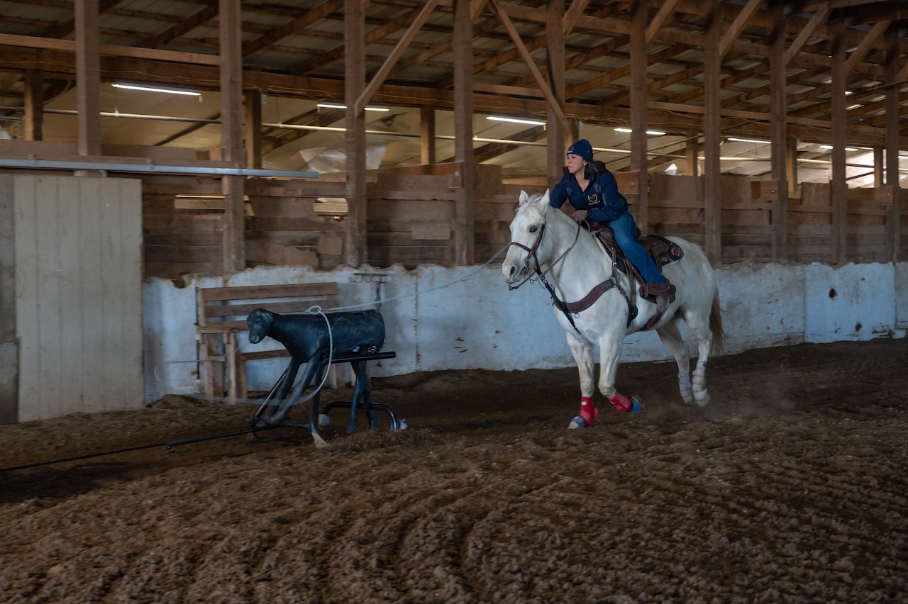 A person is shown riding a horse.