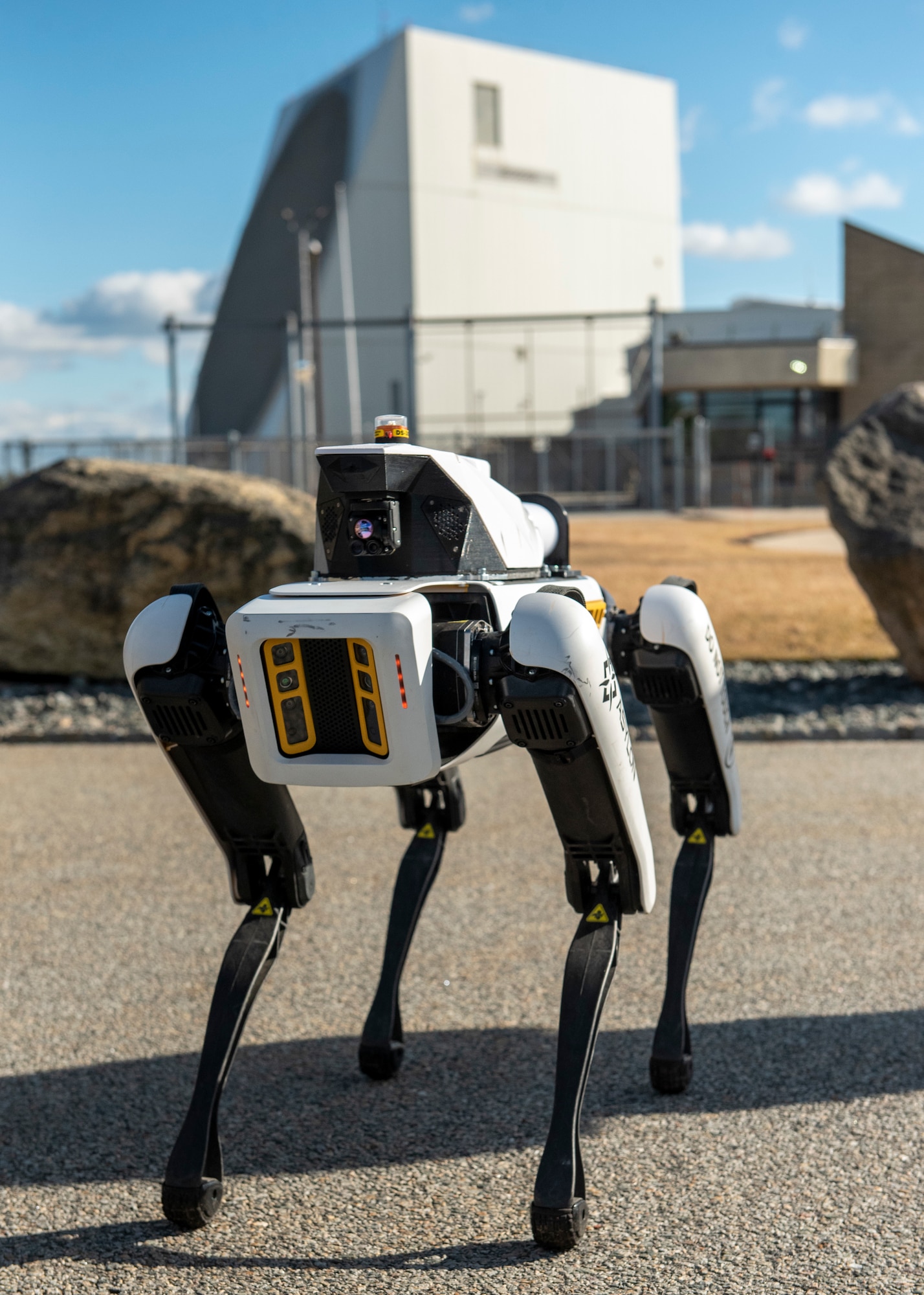Robotic dog on sale
