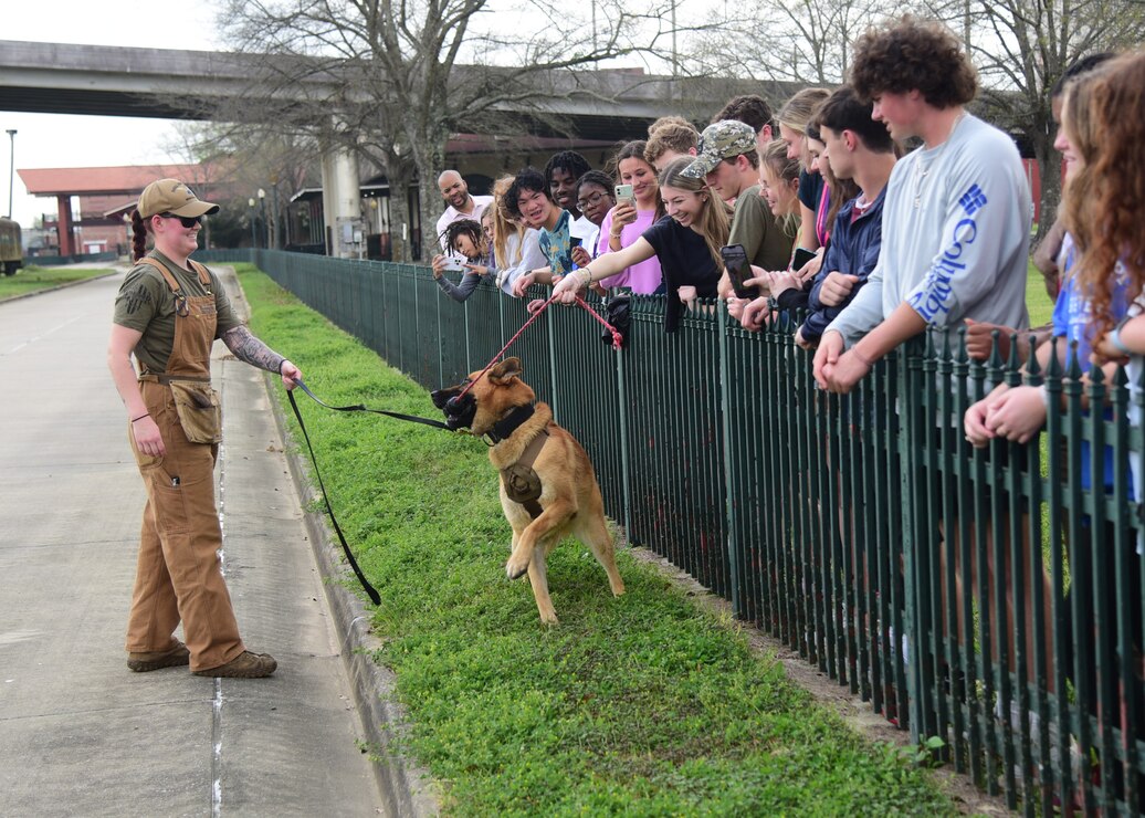 MWD