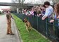 MWD