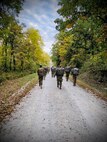 Candidates to become Officers, conduct a road march.