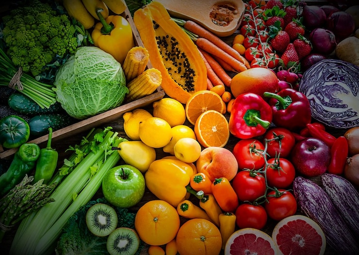 Performance Nutrition