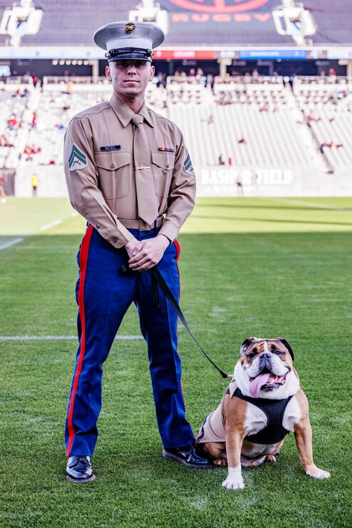 (U.S. Marine Corps photo by Lance Cpl. Alex Devereux)
