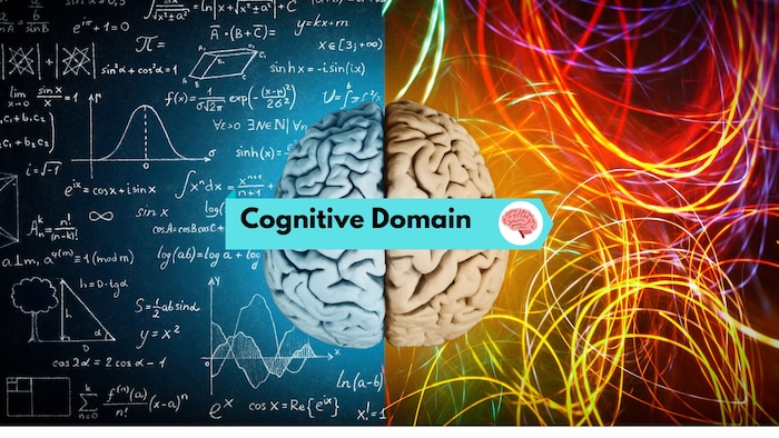 Cognitive Domain