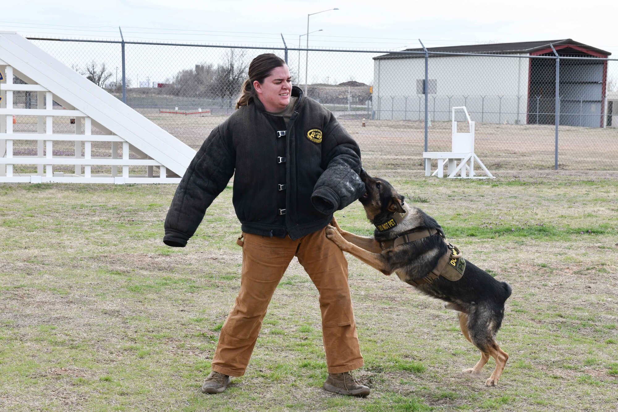 Bingo, 97th Security Forces Squadron (SFS) military working dog (MWD), attacks U.S. Air Force Senior Airman Kaitlynd Newland, 97th SFS MWD handler at Altus Air Force Base, Oklahoma, March 6, 2023. German Shepherds and Belgian Malinois are typically used as MWDs because of their obedience, intelligence, endurance, speed and adaptability. (U.S. Air Force photo by Airman 1st Class Miyah Gray)