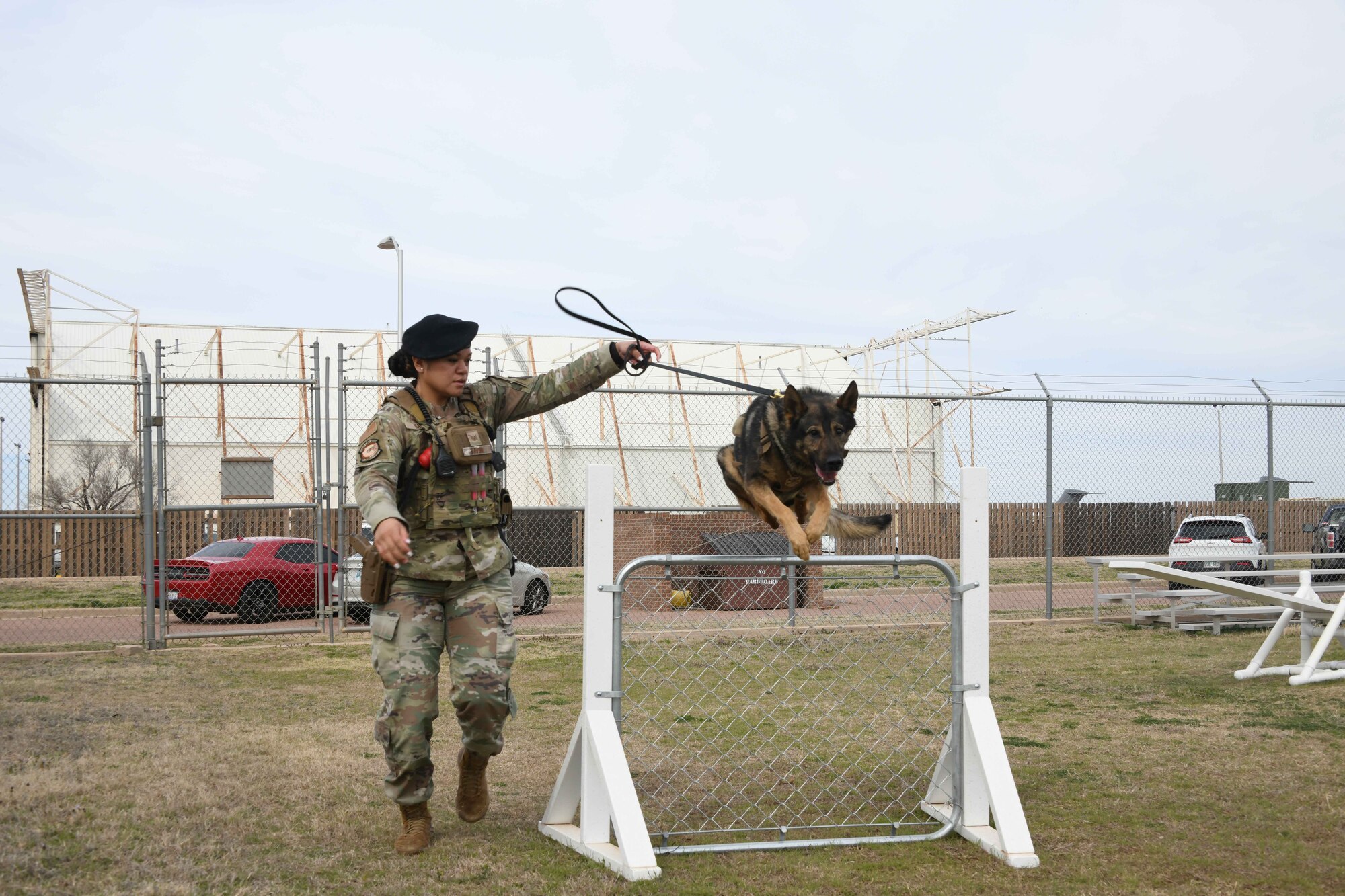 U.S. Air Force Staff Sgt. Destiny Savini, 97th Security Forces Squadron (SFS) military working dog (MWD) handler, and Bingo, 97th SFS MWD, go through an obstacle course at Altus Air Force Base, Oklahoma, March 6, 2023. The obstacle course is designed to familiarize the dogs with real-life scenarios such as scaling walls and fences. (U.S. Air Force photo by Airman 1st Class Miyah Gray)