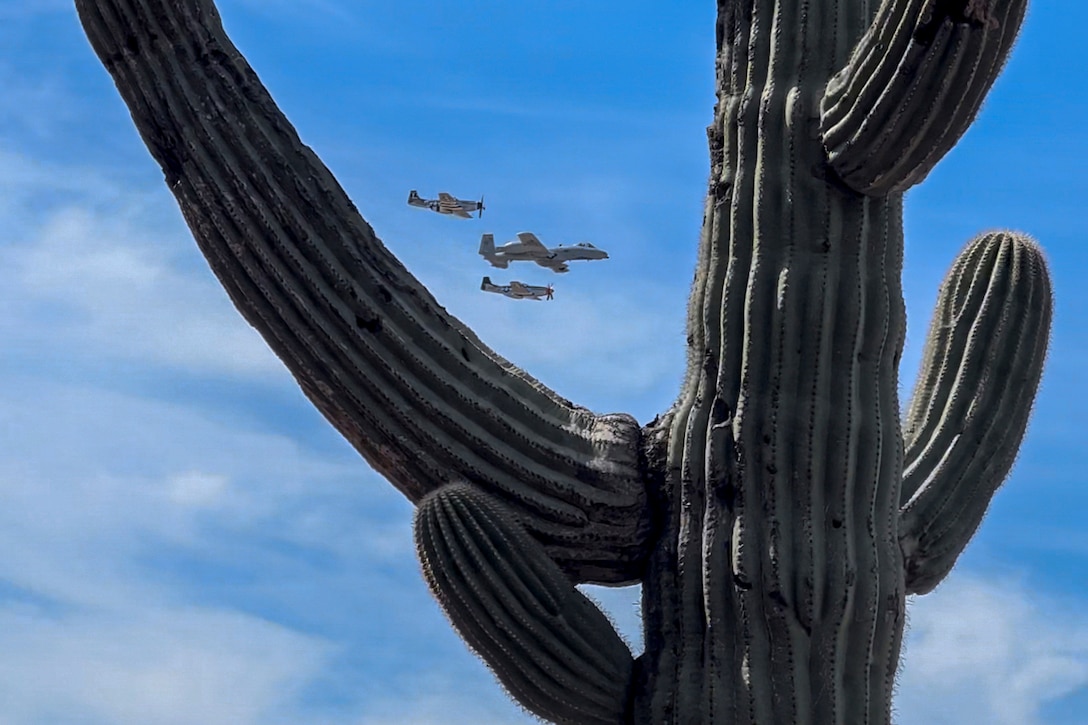 Three military planes are seen above the arm of a large cactus.