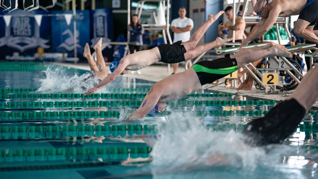 Athletes dive into the pool at the start of a race.