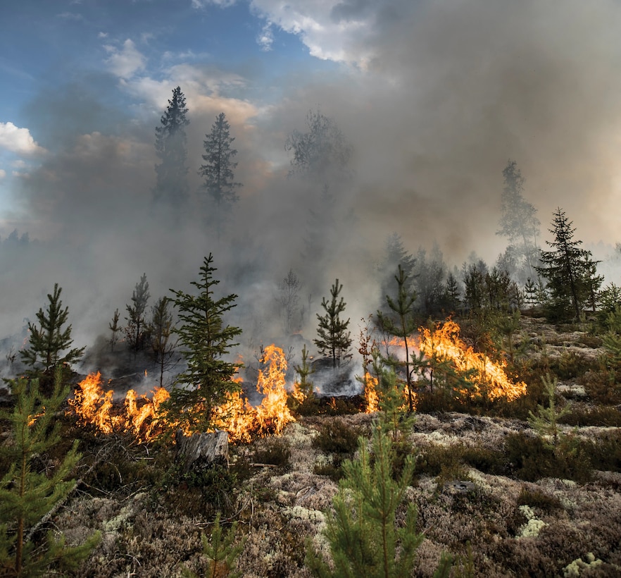 Sweden photo: Sweden fighting forest fires: The view of a burning forest in the area of Kårböle
