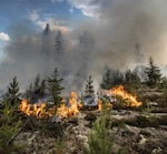 Sweden photo: Sweden fighting forest fires: The view of a burning forest in the area of Kårböle