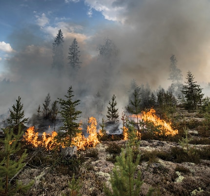 Sweden photo: Sweden fighting forest fires: The view of a burning forest in the area of Kårböle. European Union photo by Pavel Koubek, July 23, 2018