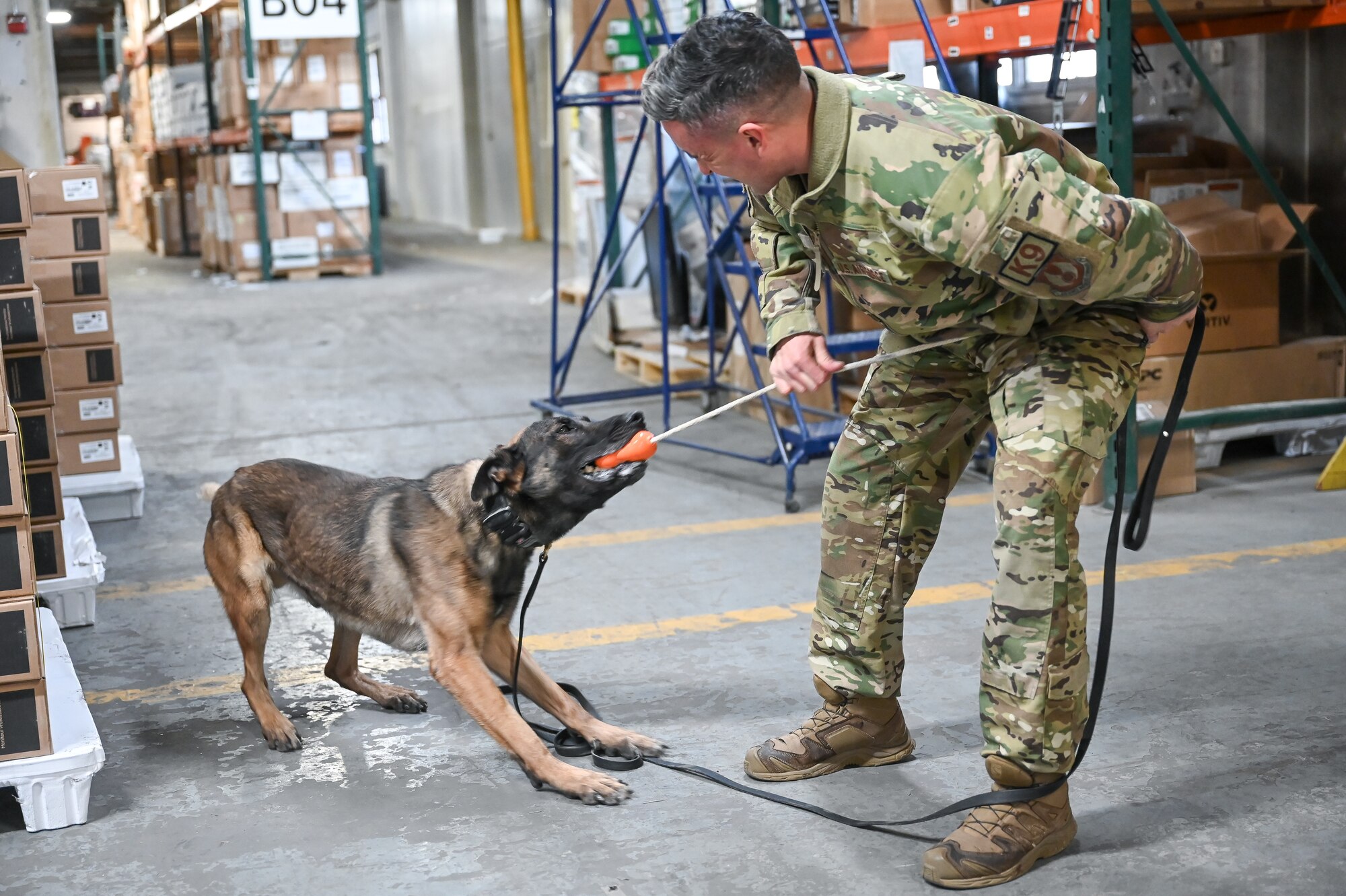 Staff Sgt. Edward Lopez rewards military working dog Bak, 75th Security Forces Squadron, during explosives detection training