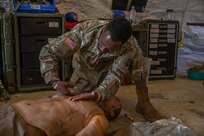 Interallied Confederation of Reserve Officers Military Competition Train-up