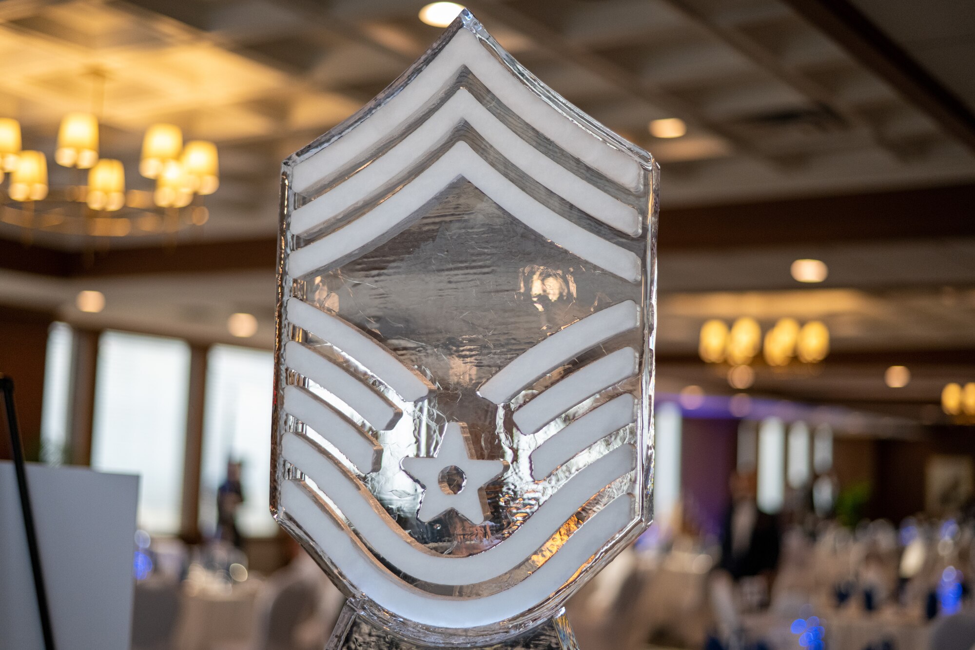 The ceremony recognized 11 senior enlisted leaders from MacDill Air Force Base for their outstanding accomplishments. These inductees will serve in the highest enlisted rank and hold strategic leadership positions with tremendous influence at all levels of the Air Force. (U.S. Air Force photo by Airman 1st Class Zachary Foster)