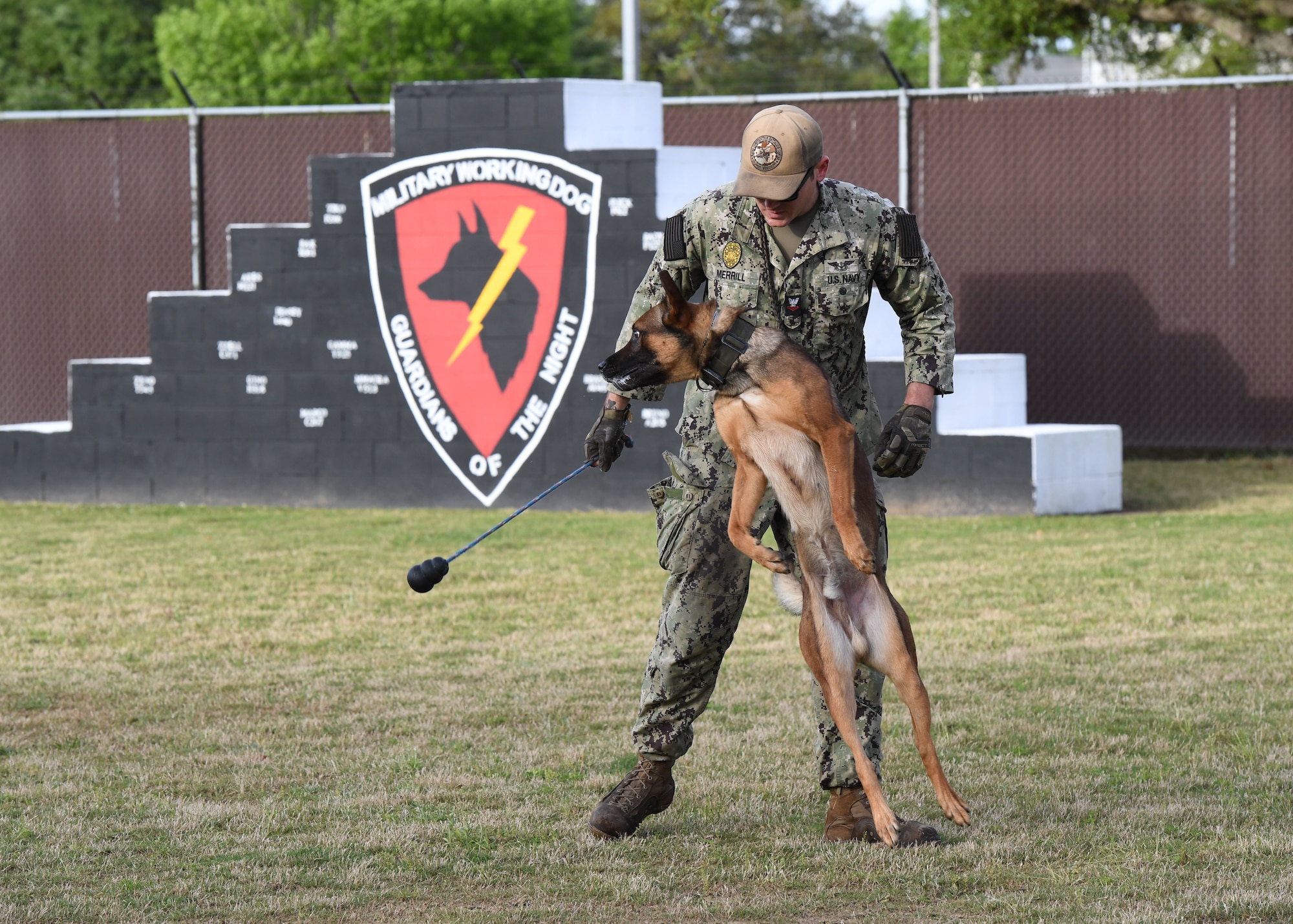 Military Working Dogs: Guardians of the Night, Article