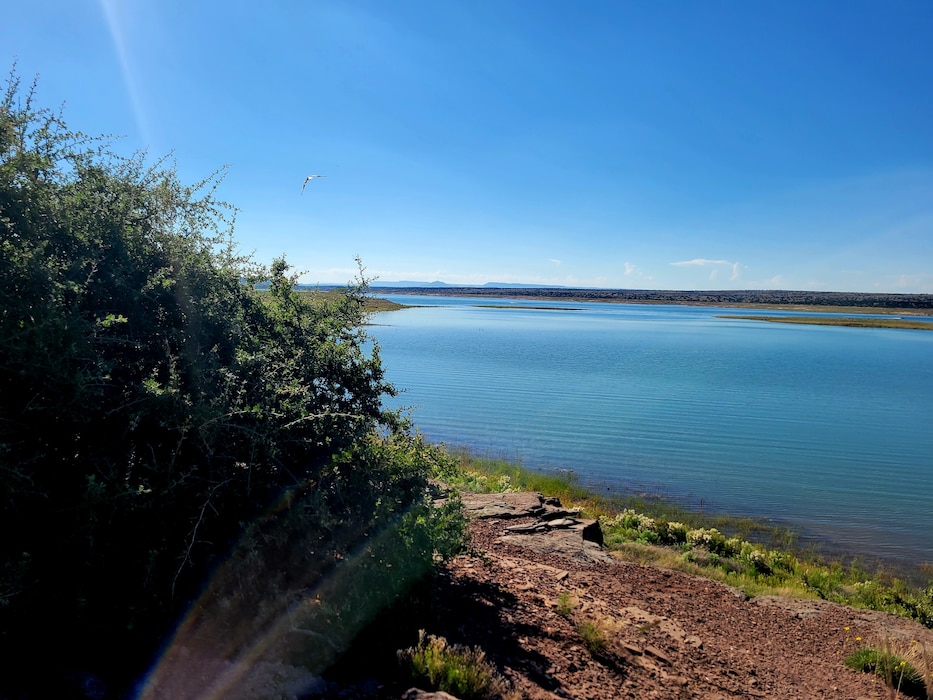 CONCHAS LAKE, N.M. – A gull flies over the tranquil lake following a busy Labor Day weekend, Sept. 6, 2022. Photo by Holly Garnett.