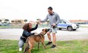 Naples Security Officer Lt. Cmdr. Alex Lamis congratulates dog handler Master-at-Arms 2nd Class Kashira Collins, left, and Debbie, a military working dog, for completing the Morale, Welfare, and Recreation's K9 5K Run onboard NSA Naples in Gricignano di Aversa, Italy, March 11, 2023.